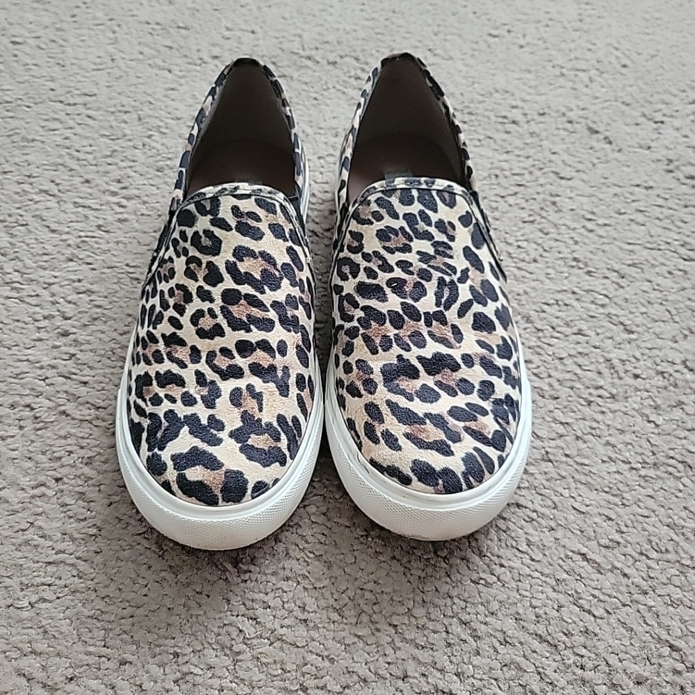 Steve Madden Women's Sneakers